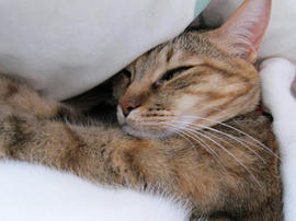IMG07361.jpg