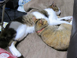 IMG07367.jpg