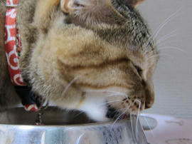 IMG07370.jpg