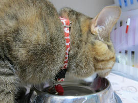 IMG07372.jpg