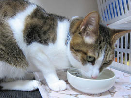 IMG07373.jpg