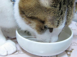 IMG07374.jpg