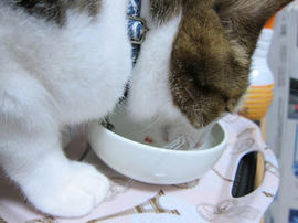 IMG07375.jpg