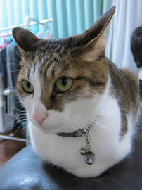 IMG07377.jpg