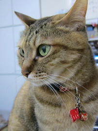 IMG07378.jpg