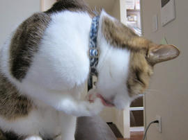 IMG07380.jpg