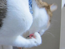 IMG07383.jpg