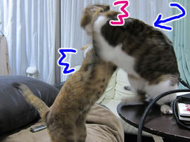 IMG07391.jpg