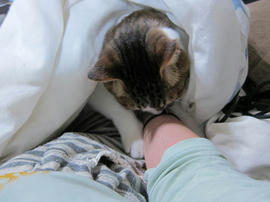 IMG07398.jpg