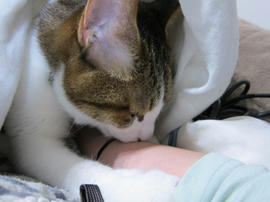 IMG07400.jpg