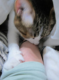 IMG07401.jpg