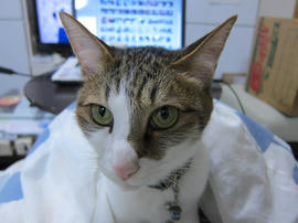 IMG07405.jpg
