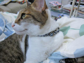 IMG07410.jpg