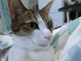 IMG07411.jpg