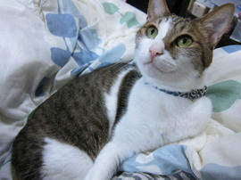 IMG07412.jpg