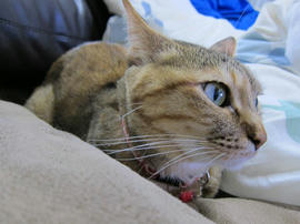 IMG07415.jpg