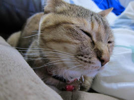 IMG07416.jpg