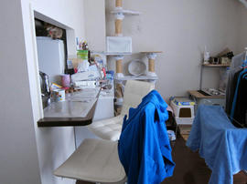 IMG07418.jpg