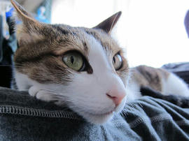 IMG07419.jpg