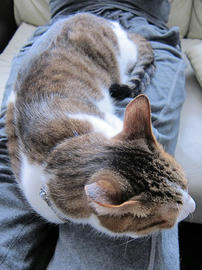 IMG07420.jpg