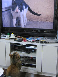 IMG07421.jpg