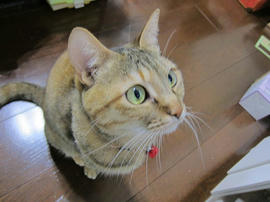 IMG07423.jpg