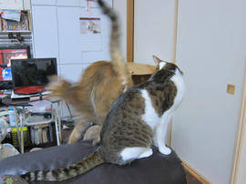 IMG07427.jpg