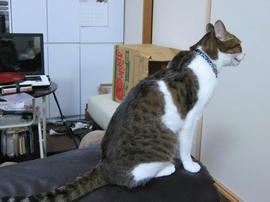 IMG07428.jpg