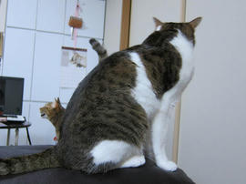 IMG07429.jpg