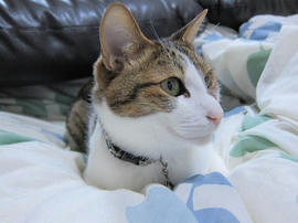 IMG07444.jpg