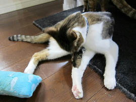 IMG07451.jpg