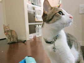 IMG07455.jpg