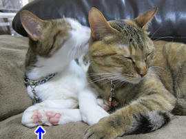IMG07457.jpg