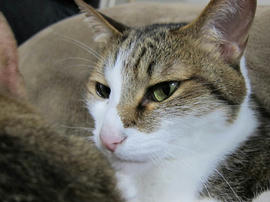 IMG07458.jpg
