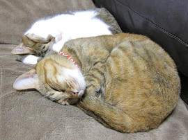 IMG07463.jpg