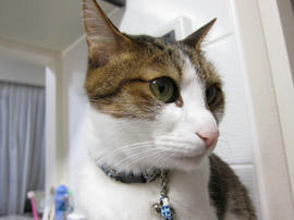 IMG07465.jpg
