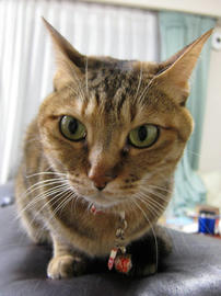 IMG07469.jpg