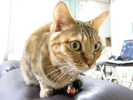 IMG07470.jpg