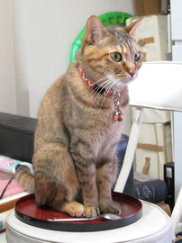 IMG07473.jpg