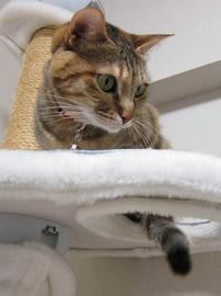 IMG07476.jpg