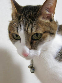 IMG07478.jpg
