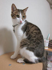 IMG07479.jpg