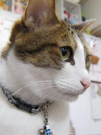 IMG07483.jpg