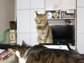 IMG07520.jpg