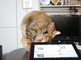 IMG07521.jpg