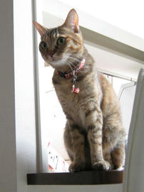IMG07523.jpg