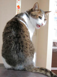 IMG07522.jpg