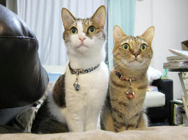 IMG07527.jpg