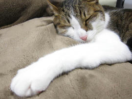 IMG07529.jpg