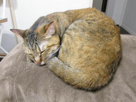 IMG07530.jpg